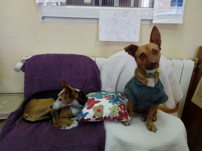 multimedia-foto43417-378-3