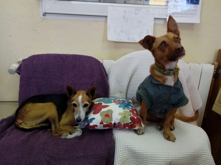 multimedia-foto43418-379-3