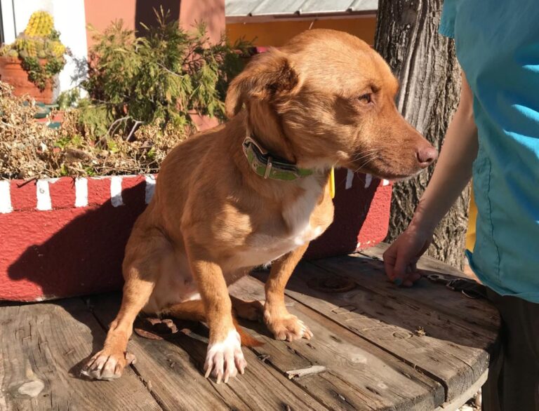 multimedia-foto43420-413-3