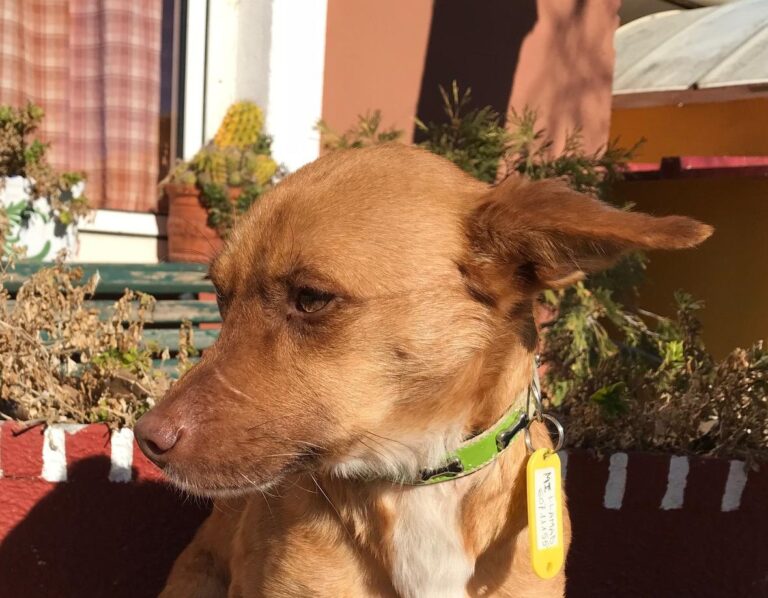 multimedia-foto43421-414-3