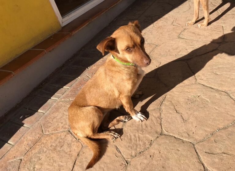 multimedia-foto43424-451-3