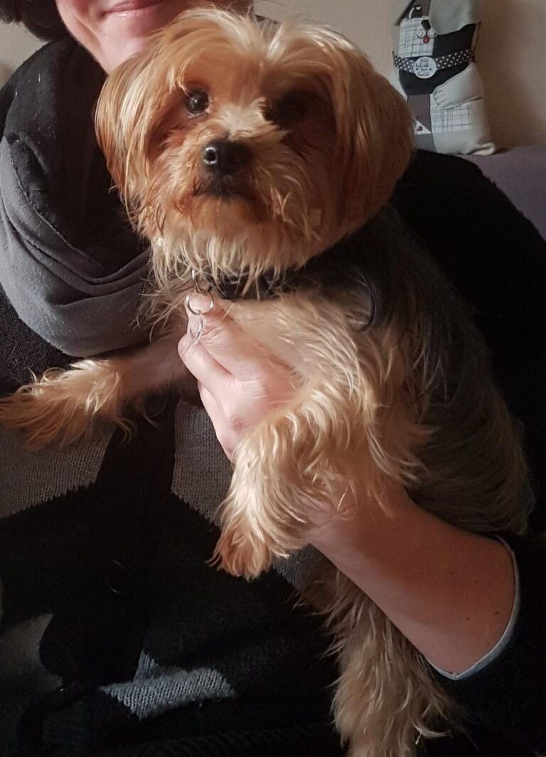 multimedia-foto43443-766-3