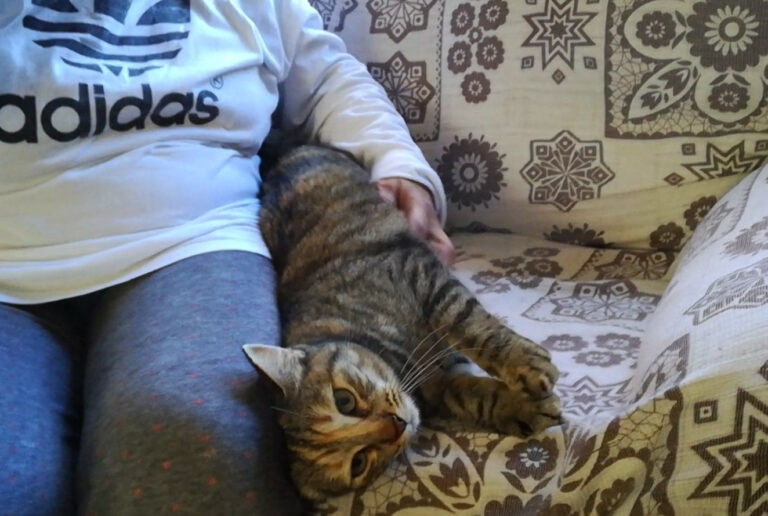 multimedia-foto43462-858-3