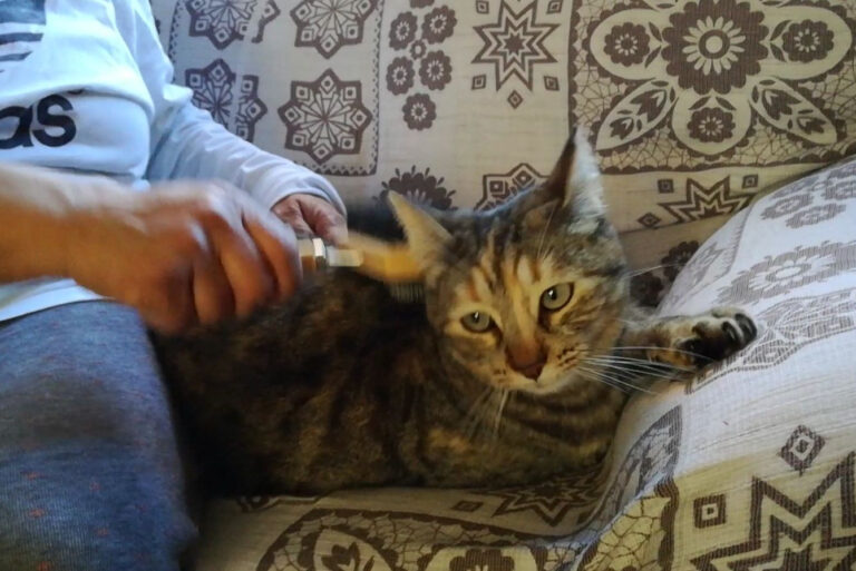 multimedia-foto43463-859-3