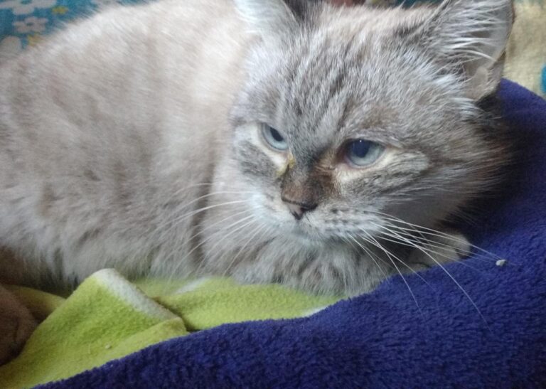 multimedia-foto43471-749-3