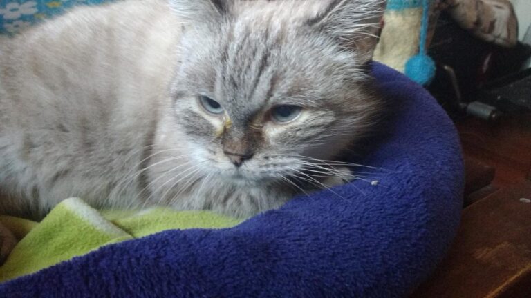 multimedia-foto43473-750-3