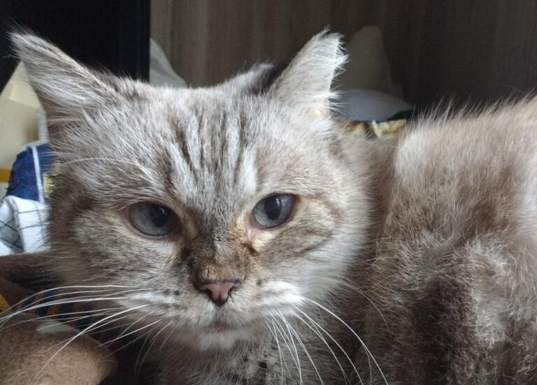 multimedia-foto43474-751-3