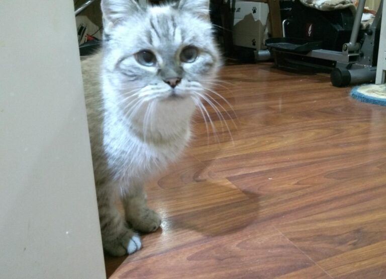 multimedia-foto43480-821-3