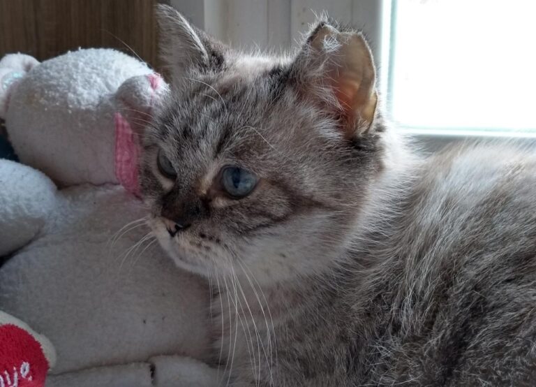 multimedia-foto43482-822-3