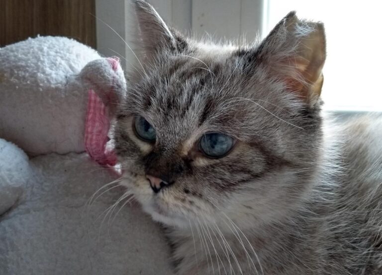 multimedia-foto43483-856-3