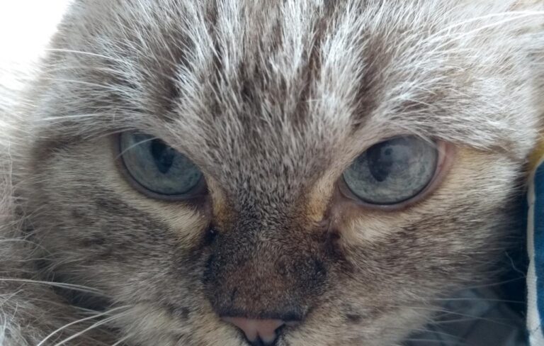 multimedia-foto43485-857-3