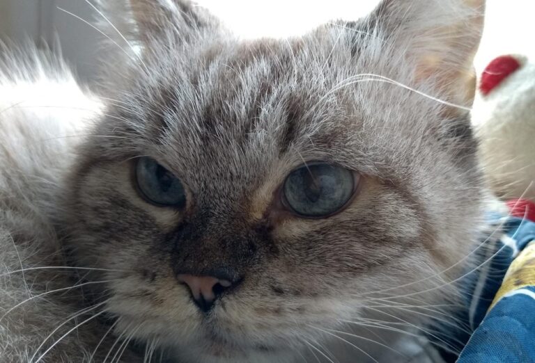 multimedia-foto43486-857-3