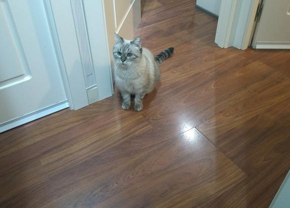 multimedia-foto43488-895-3