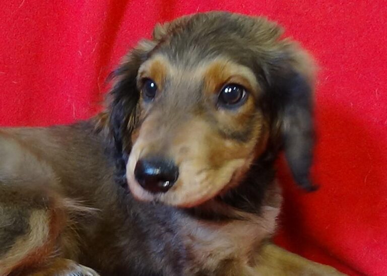 multimedia-foto43545-836-3