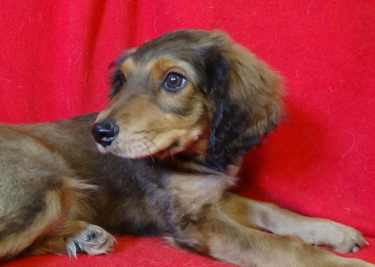 multimedia-foto43546-836-3