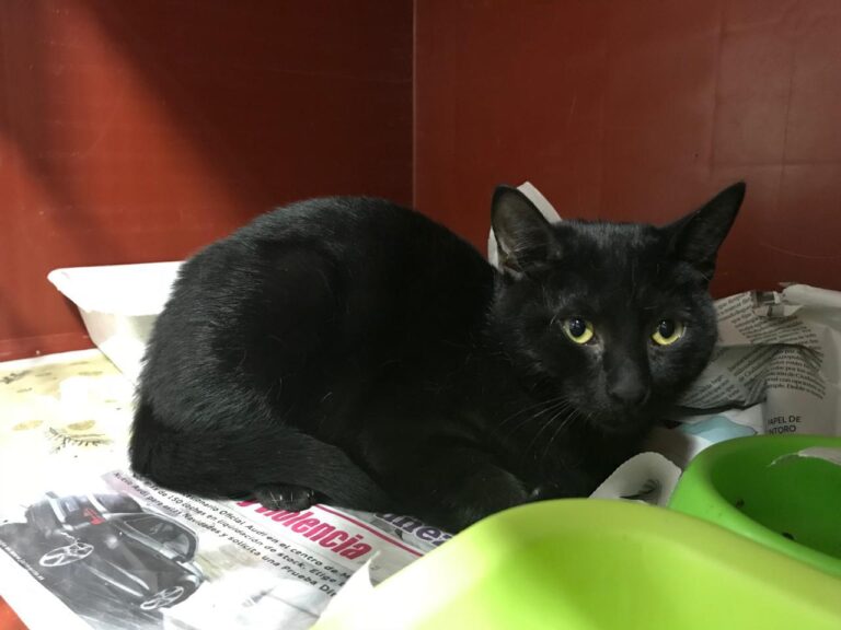 multimedia-foto43670-848-3