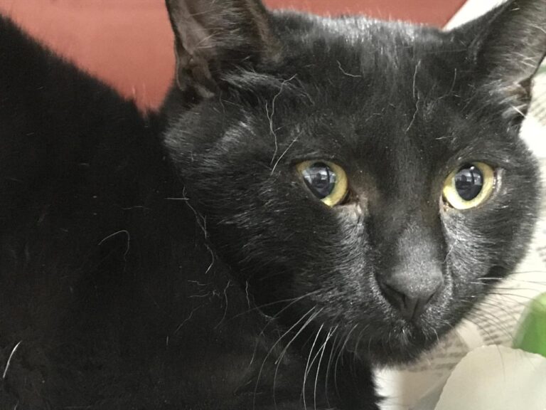 multimedia-foto43671-851-3