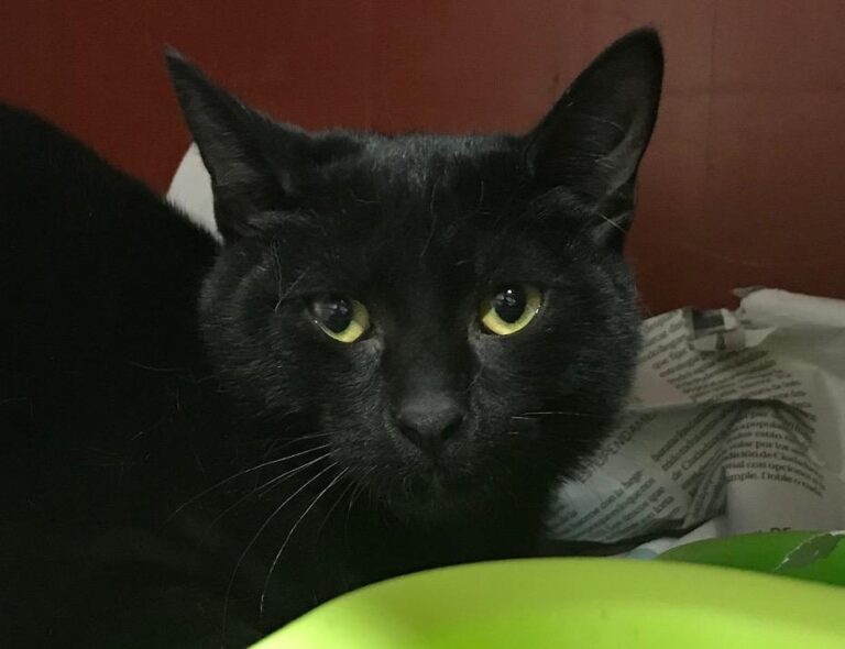 multimedia-foto43672-852-3