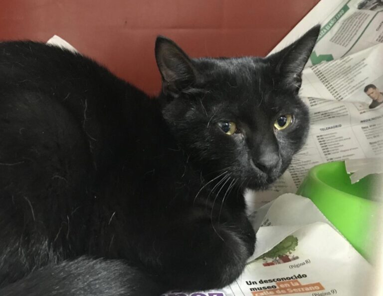 multimedia-foto43675-875-3