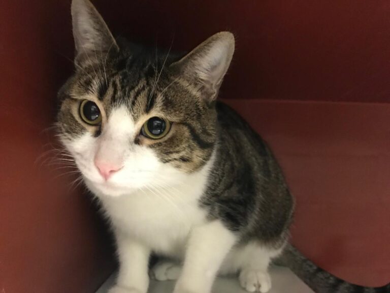 multimedia-foto43683-190-3