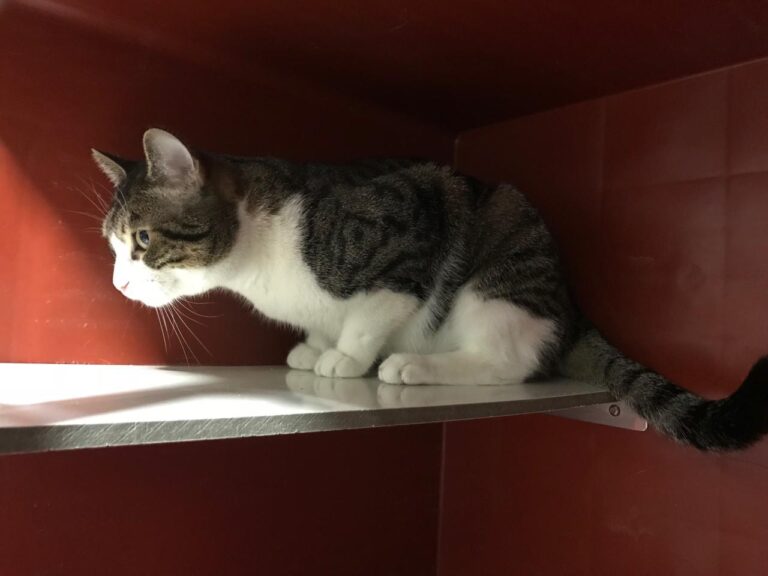 multimedia-foto43685-192-3