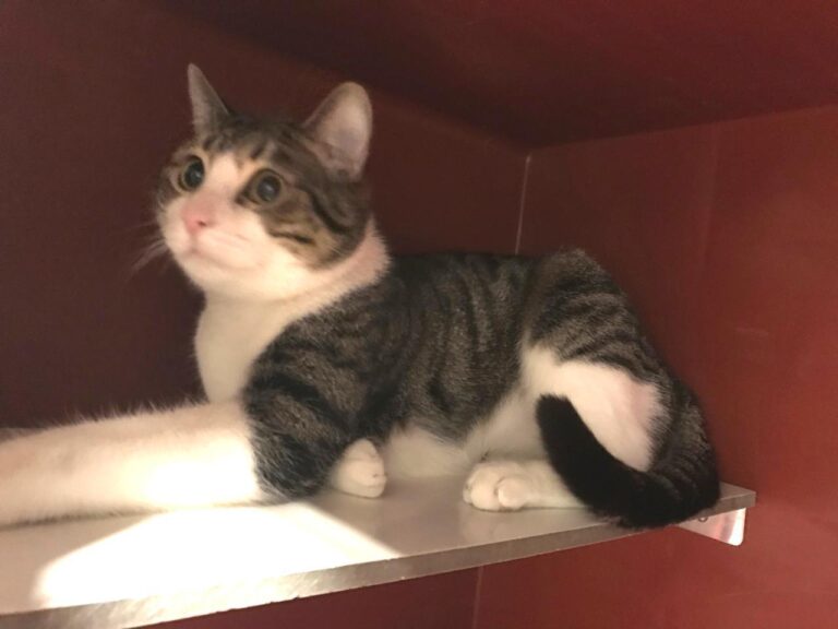 multimedia-foto43686-193-3