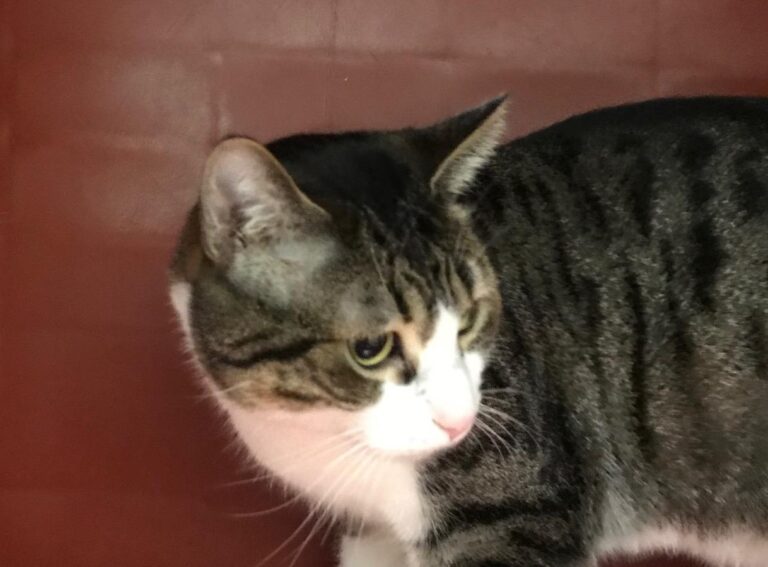 multimedia-foto43687-210-3