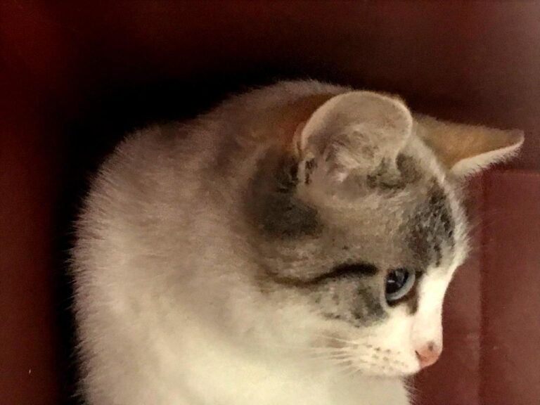 multimedia-foto43691-308-3