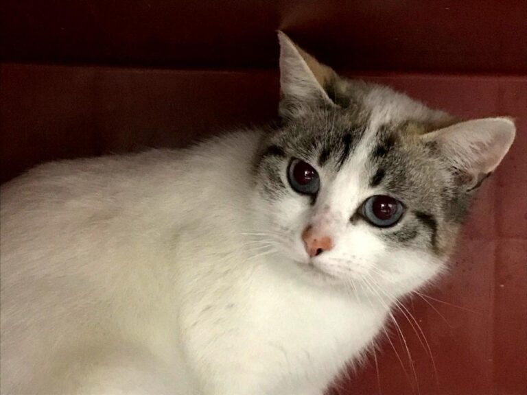 multimedia-foto43693-312-3