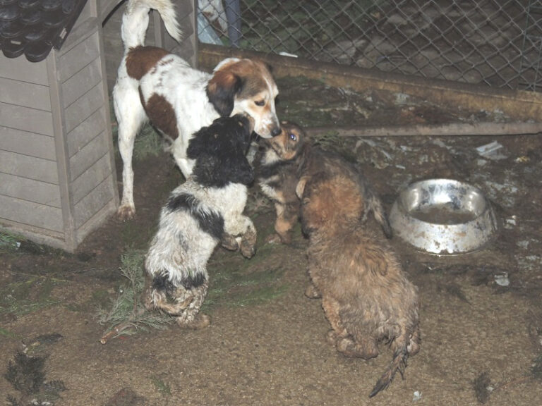 multimedia-foto43697-720-3