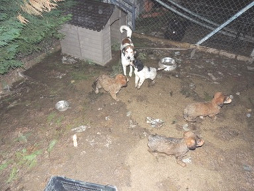 multimedia-foto43698-721-3