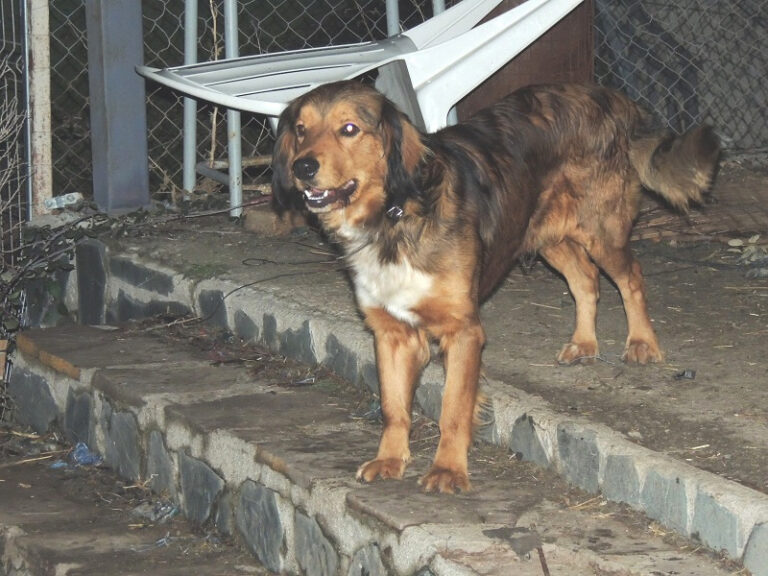 multimedia-foto43700-723-3