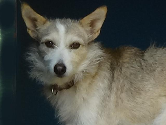 multimedia-foto43714-377-3