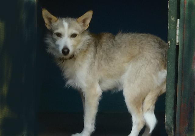 multimedia-foto43715-377-3