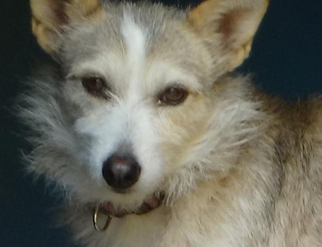 multimedia-foto43716-378-3