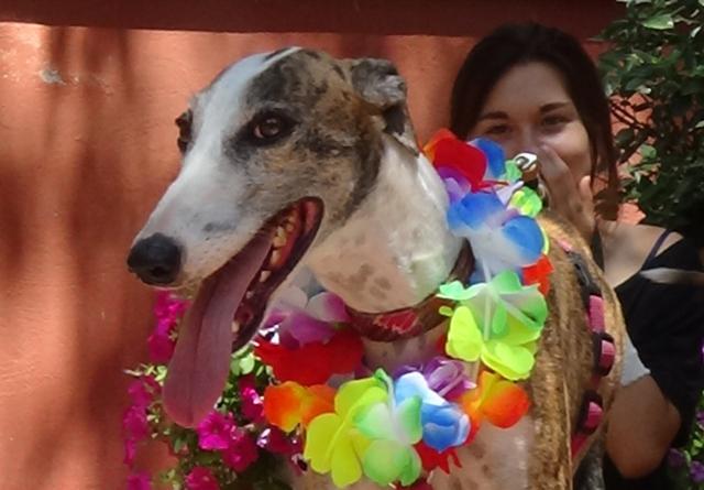 multimedia-foto43725-643-3