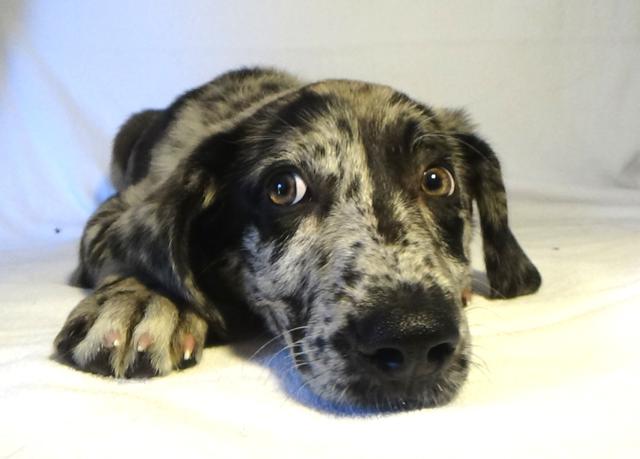 multimedia-foto43726-968-3