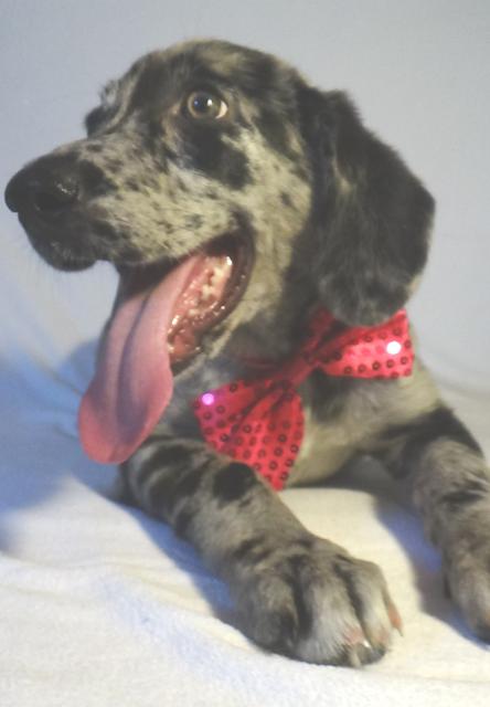 multimedia-foto43729-969-3