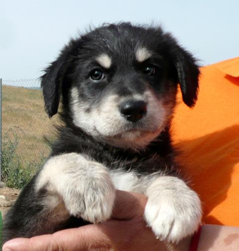 multimedia-foto43754-663-3