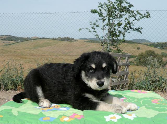 multimedia-foto43755-663-3