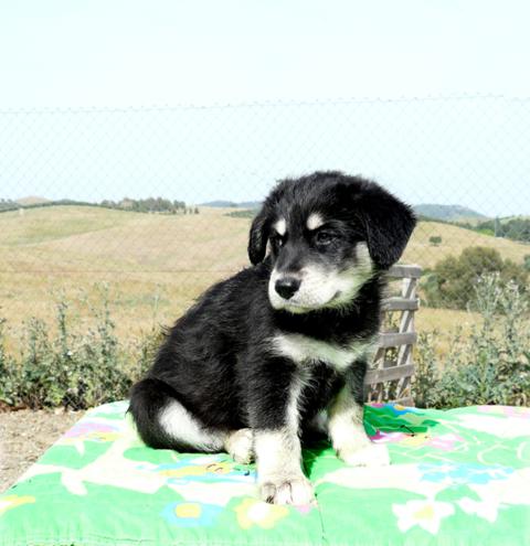 multimedia-foto43756-664-3