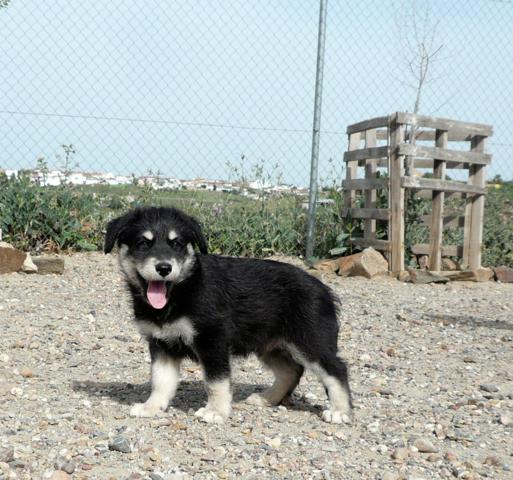 multimedia-foto43757-664-3