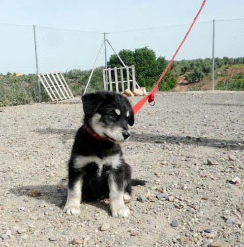 multimedia-foto43758-678-3