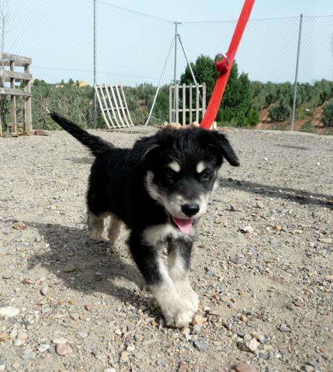 multimedia-foto43759-678-3