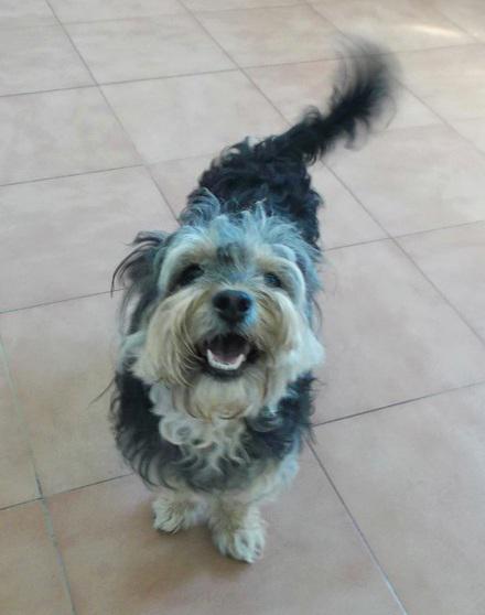 multimedia-foto43765-133-3