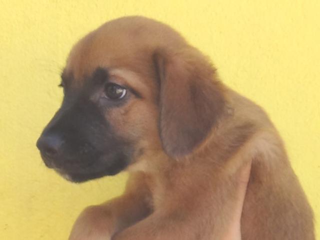 multimedia-foto43780-491-3