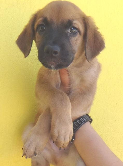 multimedia-foto43781-491-3