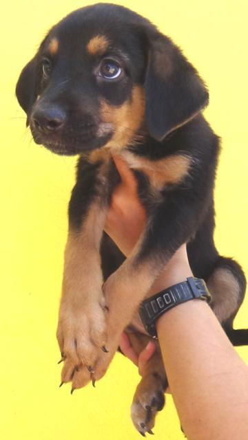 multimedia-foto43796-688-3