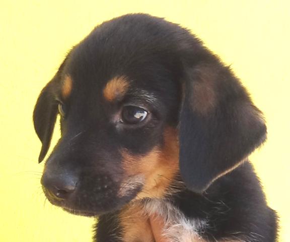 multimedia-foto43798-689-3