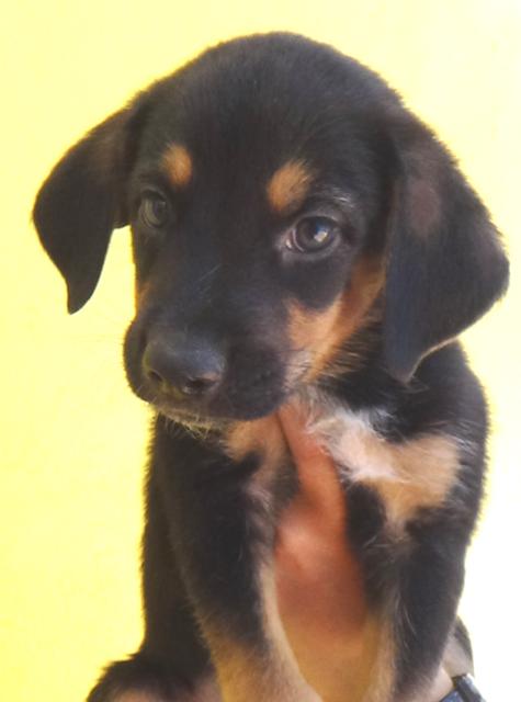 multimedia-foto43799-689-3